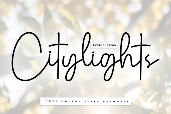 Citylights
