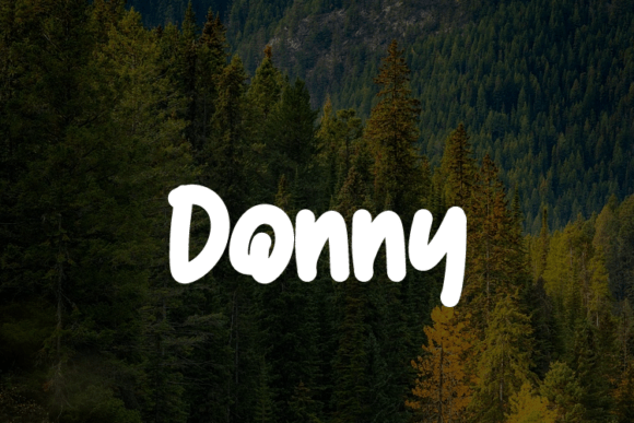Donny: A Versatile Font for Modern Branding
