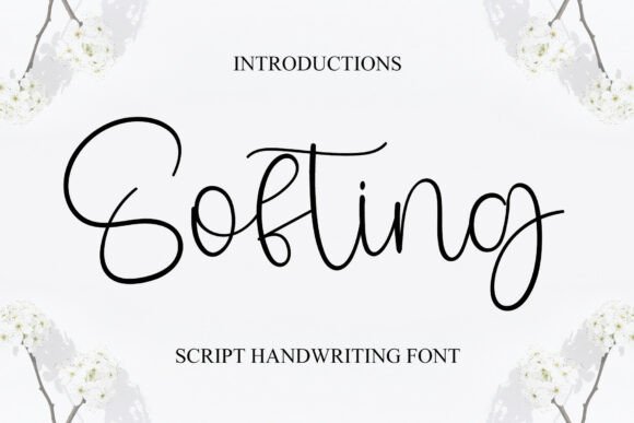 Softing: The Font That Elevates Your Campaigns