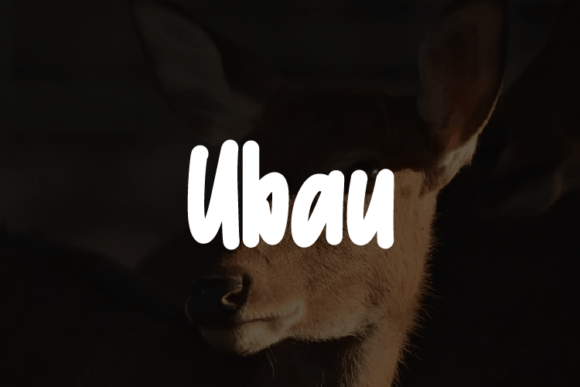 Ubau: The Font That Elevates Every Campaign
