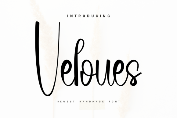 Veloues: A Font That Breathes Life Into Editorial Design